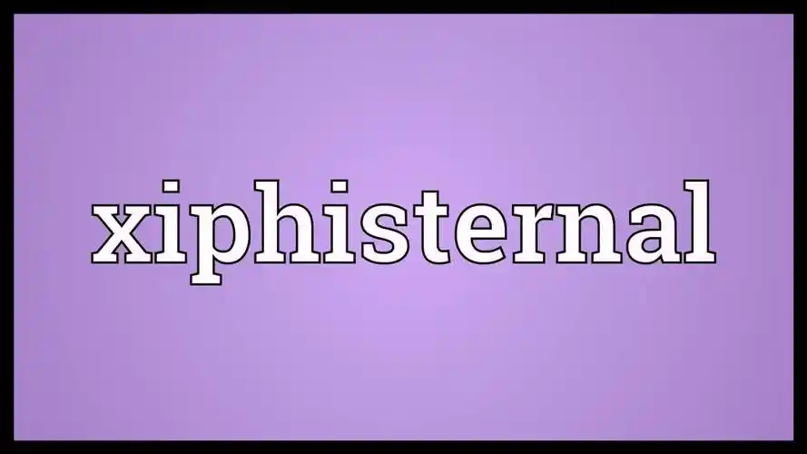 xiphisternal meaning