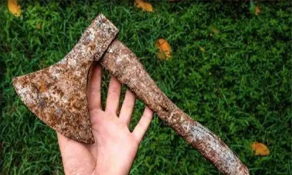 世界上最古老的斧头诞生于4万6千年到4万9千年前