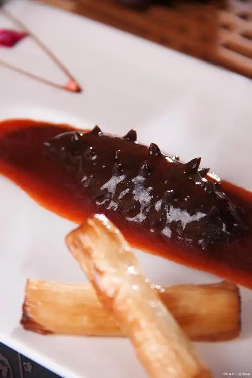 秋冬进补,海茄子与海参大pk!美食君带你揭秘,究竟谁是王者?