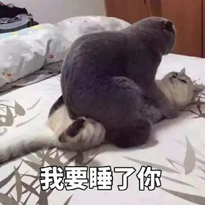 我要睡了你 - 一波可爱的表情包_卖萌_萌萌哒表情