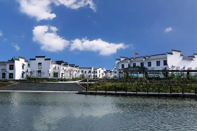 【美丽乡村】四川威远:中国无花果之乡