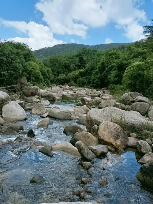 江门台山北峰山森林公园溯溪游记