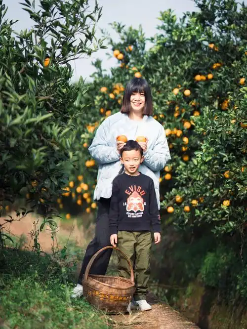 去摘了橘子周末安排起来