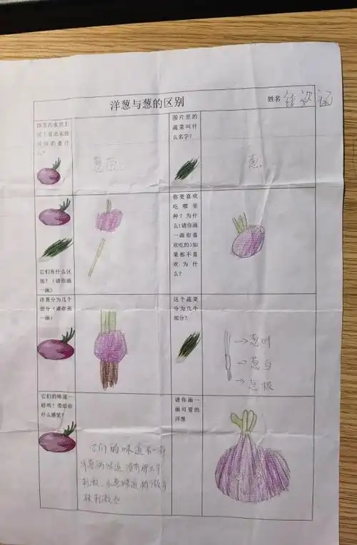 生命迈幼课程传递课程故事洋葱的秘密