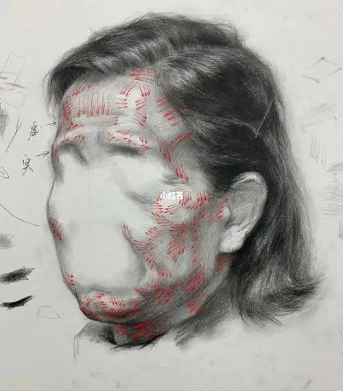 福建美术专升本素描面部排线技巧