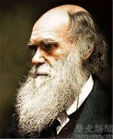 关于达芬奇故事有哪些 / 比乐族