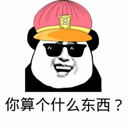 你算个什么东西?