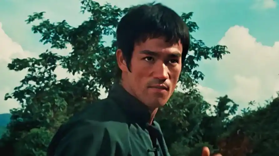 李小龙的又一力作电影猛龙过江简介