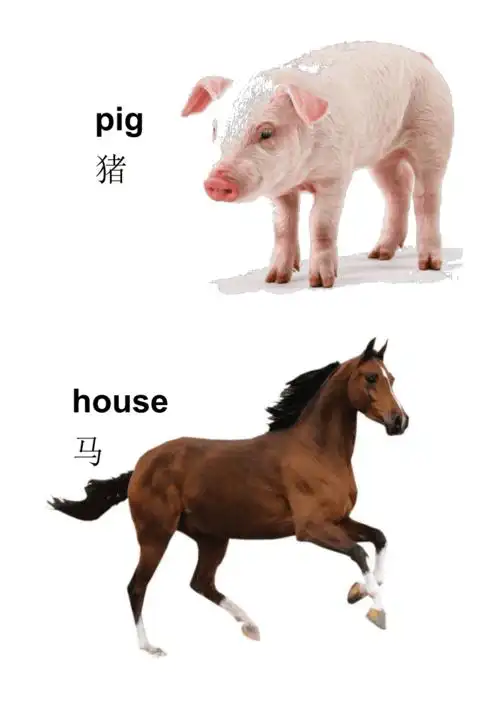 宝宝早教彩色动物卡片a4打印pdf14页