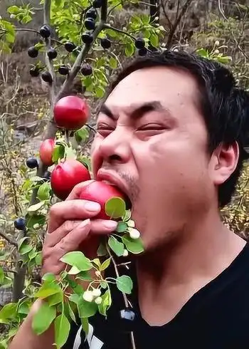 大叔吃李子,看这表情真酸啊