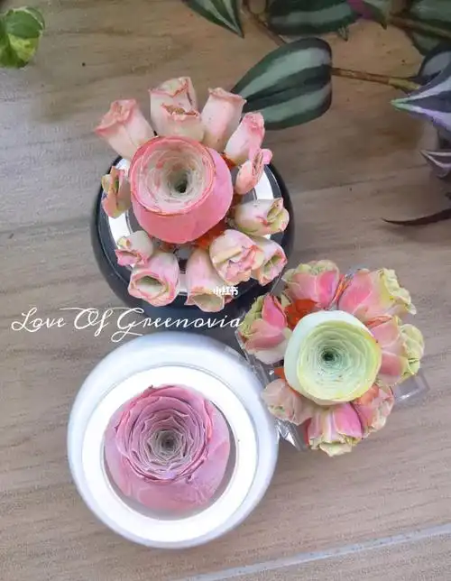 小玉小情书耶罗