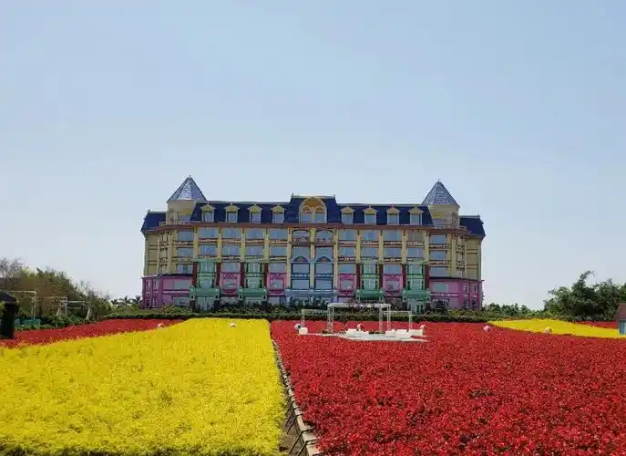 广州南沙百万葵园亲子游全攻略