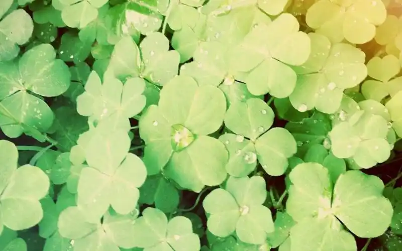 非主流小清新风格,高清图片,电脑桌面-壁纸族