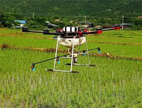 图为无人机在稻田喷洒农药.