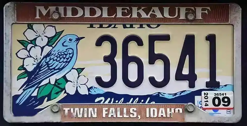 五花八门的美国的车牌竟有这么多讲究