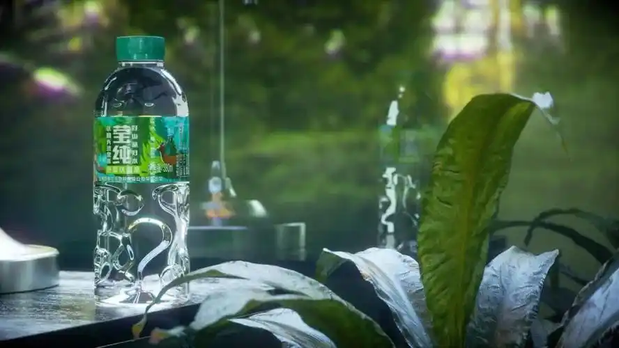 正在各自享受明亮的蓝绿色调营造生机勃勃的氛围编辑益津关纯净水via