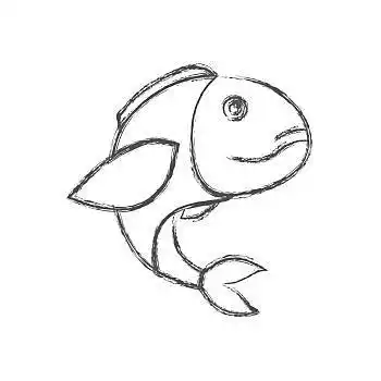 模糊,素描,剪影,鲈鱼,鱼,矢量,插画