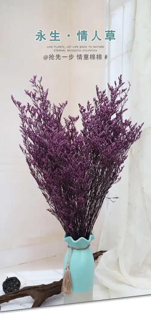 云南永生花情人草批发干花花束情人节礼物家居装饰diy插花