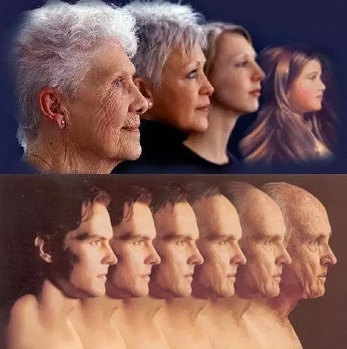 人体衰老到底是怎样的一个过程