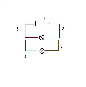 电池组一个,开关一个,电灯泡两只,要求这两只灯泡并联,并用开关控制