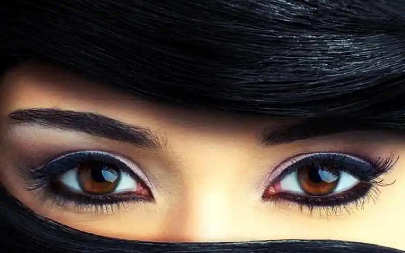 活动  【手风琴】黑眼睛