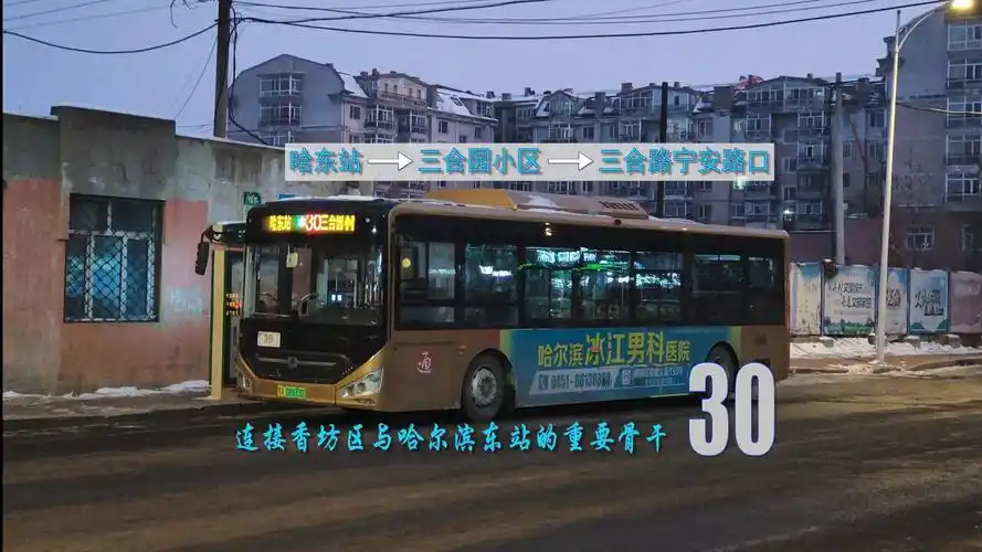 【pov257】哈尔滨公交30路(哈东站-三合园小区-三合路宁安路口下车站)