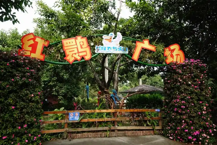 番禺长隆飞鸟乐园之美
