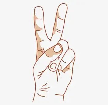 伸出两根手指的人手图