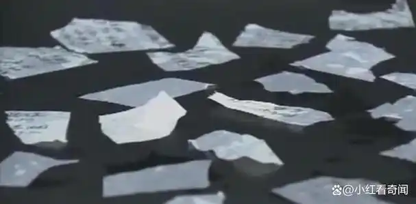 碎纸片1于是,他们认真地清理了这些碎纸 一共有100多片,其中有一部分