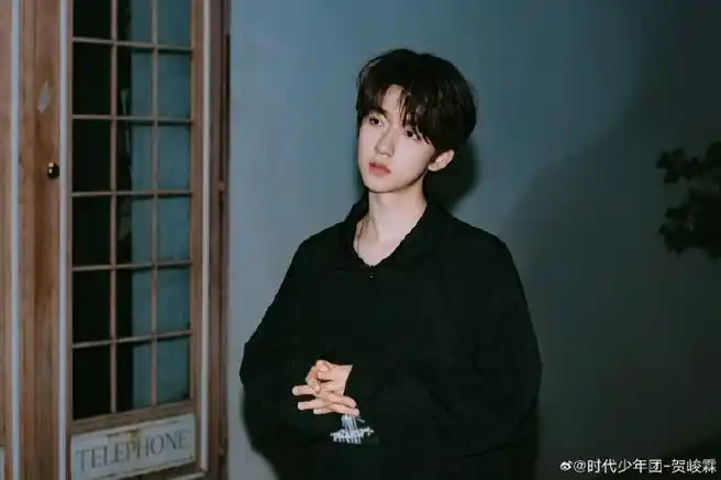 贺峻霖正脸vs侧脸