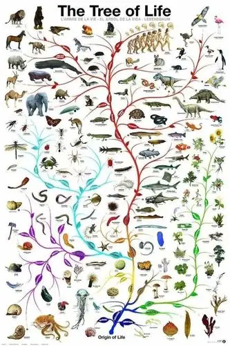 耶鲁学者的这本书告诉我们:与病毒不断进化和斗争的人类历史