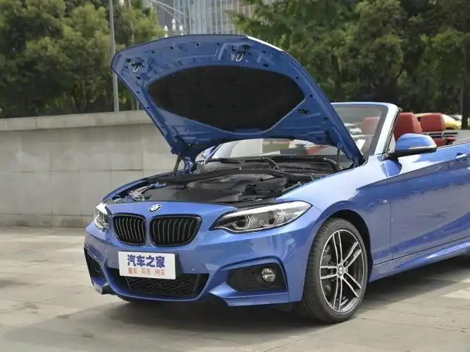 宝马(进口) 宝马2系 2019款 225i 敞篷轿跑车 尊享型 m运动套装