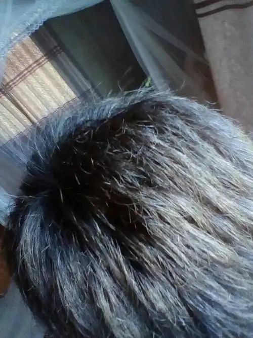 头发乱,疏不直怎么办