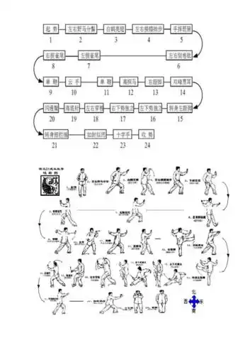 24式简化太极拳步法图