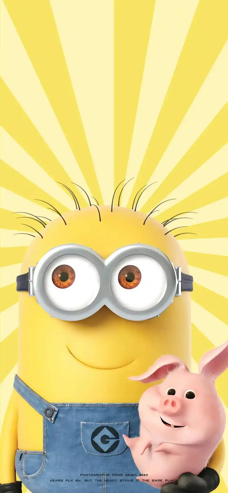 小黄人系列壁纸～#欢迎取图 #送你一张壁纸 #手机壁纸 #今 - 抖音