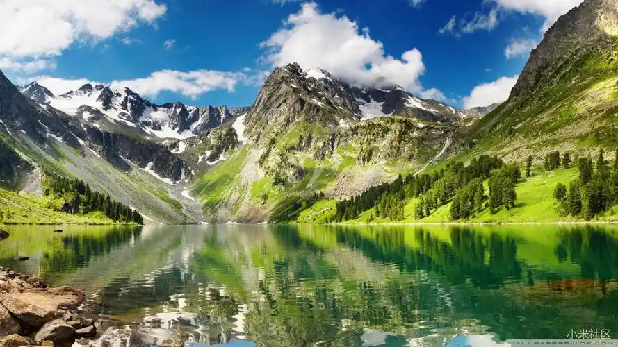 【分享】精美壁纸60张,喜欢的拿走 - 小米社区