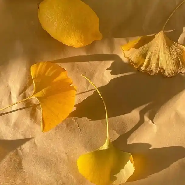 背景丨炒鸡温柔的朋友圈背景图为你而来