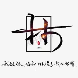 姓氏林我姓林你却淋湿了我的眼睛书法