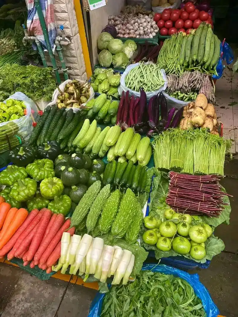 这个菜摊真好!各种各样新鲜蔬菜,以后到我这个摊位来买菜#纯天 - 抖音