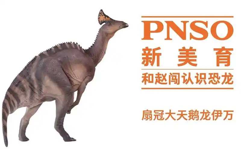 和赵闯认识恐龙:扇冠大天鹅龙伊万