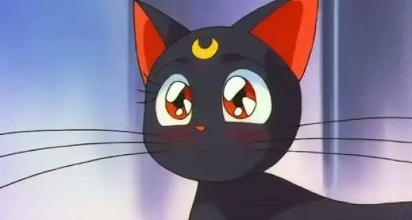 《美少女战士》中,露娜是一直会说话的雌猫,它教会月野兔变身方法和