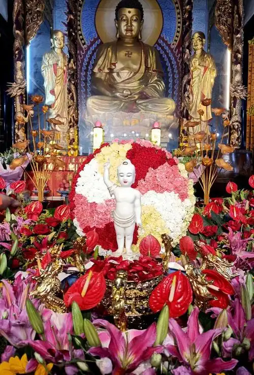 四月初八 | 恭迎释迦牟尼佛圣诞纪念日|如来|佛诞节|尘垢_网易订阅