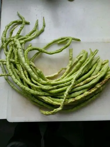 蒸老豆角(6/11)