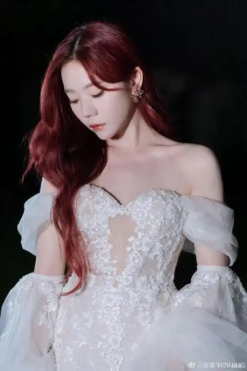 又纯又欲张紫宁