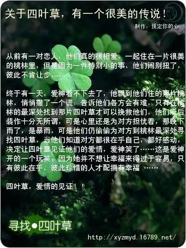 传说中的四叶草是夏娃从天国伊甸园带到大地上,花语是幸福
