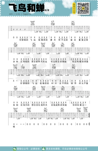 飞鸟和蝉(必弹吉他)吉他谱(图片谱,伴奏,弹唱,简单版)_任然_kgq5b1