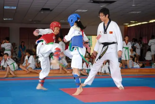 跆拳道比赛(17)