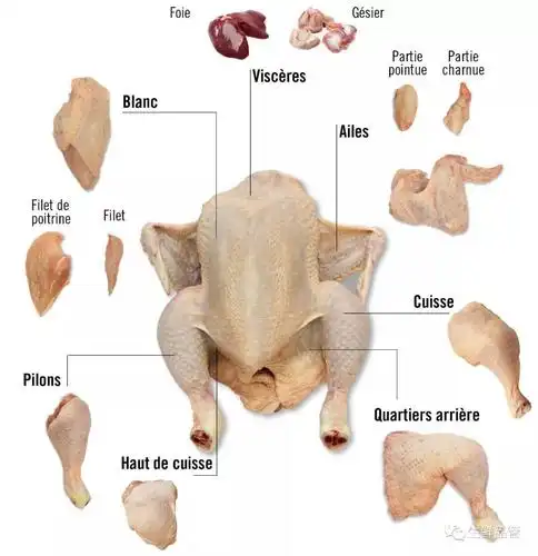 常规分割鸡产品品类介绍?以及加工鸡产品相关武汉食品机械厂家有哪些?