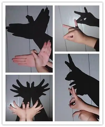 影相随 乐相伴——开封市红旗幼儿园科学活动《影子变变变》二次教研