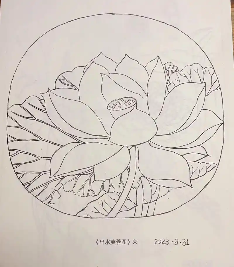 国画白描花卉篇